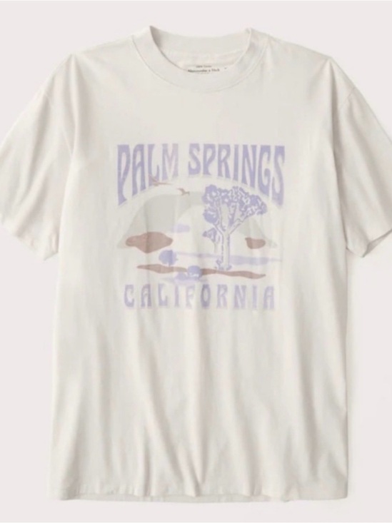 Abercrombie & Fitch Tops - Abercrombie & Fitch Women’s Soft A&F Oversized Graphic “Palm Springs” Tee